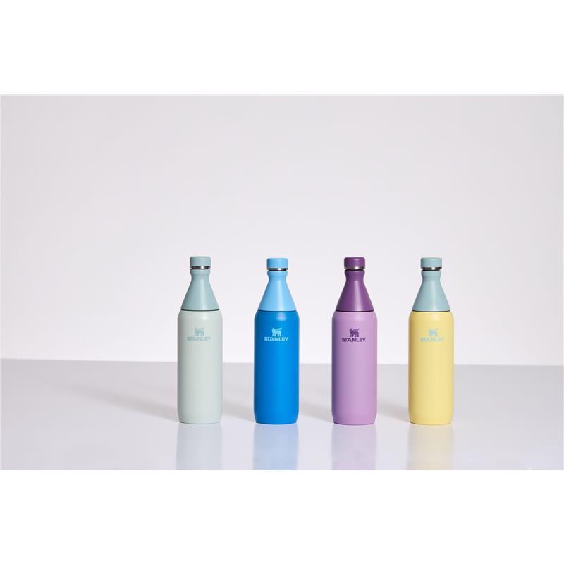 Stanley All Day Slim Bottle 20 oz | Leakproof Twist on Lid | Slim Design for Travel and Gym | Insulated Stainless Steel Water Bottle | BPA-Free | L Image 3