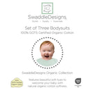 Swaddle Designs 3Pk Organic Cotton Bodysuits, Soft Jadeite/White/Sand Dollar Image 6