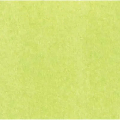 The Gift Wrap Company Lime Tissue, 12-Pack Image 1