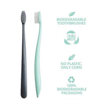 Jack N' Jill - The Natural Family Co. Bio Toothbrush, Rivermint & Monsoon Mist Image 2