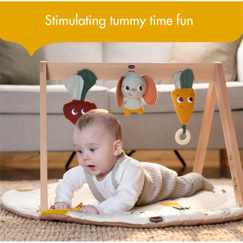 Tiny Love - Gymini W/Book, Garden of Adventure Collection Image 8