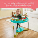 Tiny Love - Meadow Days Stationary Activitiy Center Image 10