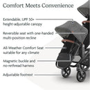 Uppababy - Greyson Vista V3 Stroller | Greyson Rumbleseat | Upper Adapters Image 10