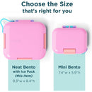 ZOKU Neat Bento - Pink Image 2