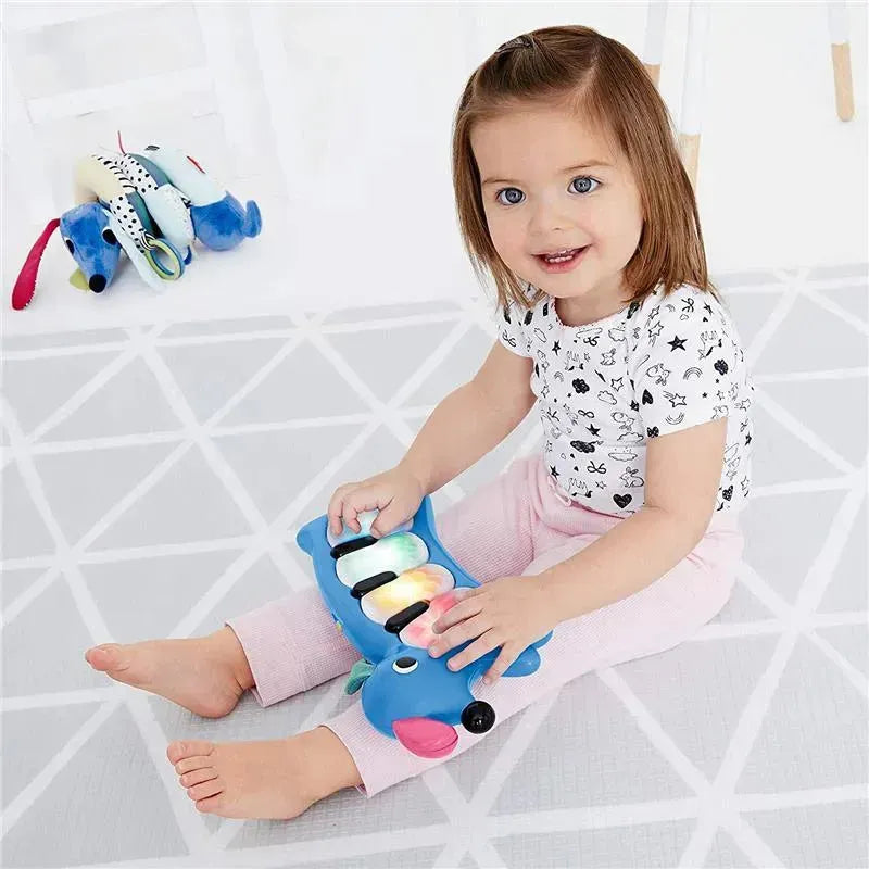 Skip Hop Vibrant Village Light-Up Dog Piano, Blue Image 4